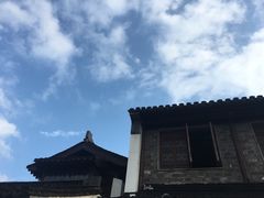 -志龙皇冠吃货椰子铺