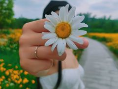 -长广溪湿地公园