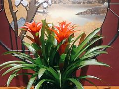 -苏州人家·精致苏帮菜(斜塘店)