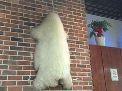 -陇上全荟兰州传统牛肉面(延吉路店)