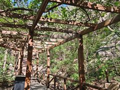 -大岭沟猕猴桃谷风景区