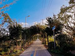 -上海长兴岛郊野公园