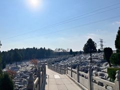 -原山国家森林公园