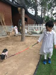 -上美四季动物农场