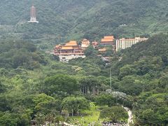 -深圳仙湖植物园