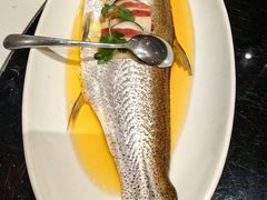 -上海1号私藏菜(黄浦店)