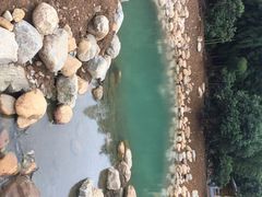 -龙寺生态园