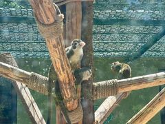 -栾川竹海野生动物园