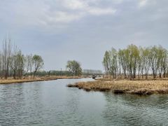 -白洋淀风景区