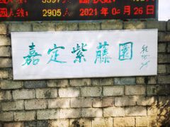 -嘉定紫藤园