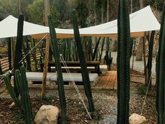 -MOJ coffee(瓯海泽雅水碓坑店)