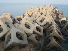-东疆建设开发纪念公园