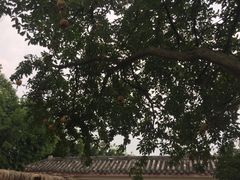 -悦哉·派对·草坪婚礼·围炉煮茶(三圣乡店)