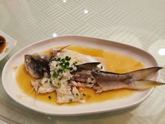 酒酿午仔鱼-鼎泰丰(渔阳店)