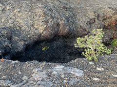 -夏威夷火山国家公园