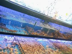 -透明思烤·自助烤肉海鲜火锅(东部星悦天地店)