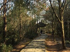 -天台山赤城山景区