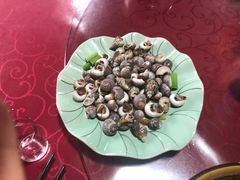 -罗源湾8号渔排