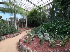 -呀路古热带植物园
