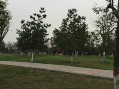 -洨河生态公园