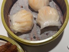 -东方早茶 海鲜•青岛菜(国信体育中心店)