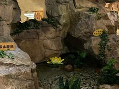 -爱江山温泉(凌奥店)