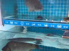 -崂山水果园农家宴(泉水鸡店)