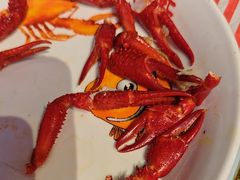 -霸王虾·小龙虾香辣蟹(玉林店)