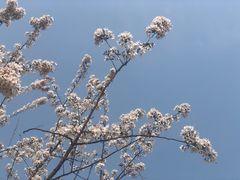 -河北省第三届（邢台园博园）园林博览会