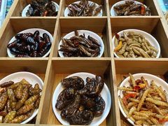 -昆虫窝子·特色云南菜(拓东路总店)
