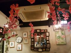 -layback cafe & bar