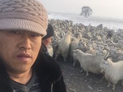 iphone_upload_pic-郭记原生态烤羊腿(长宁路店)