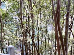 -龙湾潭国家森林公园