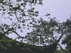 -拙政园