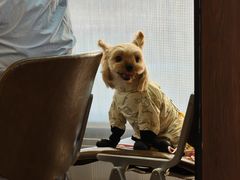 -Tubestation站点比萨(高新万达ONE店)