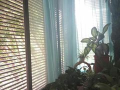 景观位-茶油香闽南菜·花园餐厅(前埔店)