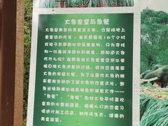 -野象谷景区
