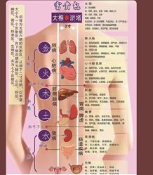 -丽减美瘦吧·减肥瘦身