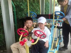 -中国扬子鳄村