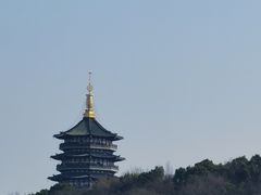 -西湖外事游船(花港观鱼码头)