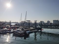 -日照世帆赛基地