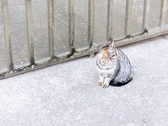 -黄兴公园
