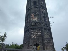 -上海佘山国家森林公园天马山园