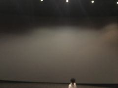 -万达影城(南昌红谷滩IMAX激光店)