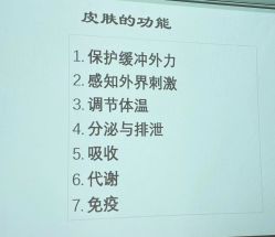 点击看大图 -玛莲朵·海菲秀冰珀科