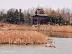 -唐岛湾公园