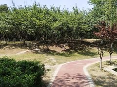 -太子山公园(园东路)