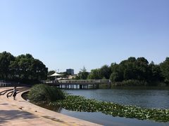 -新江湾城公园