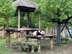 -上海野生动物园