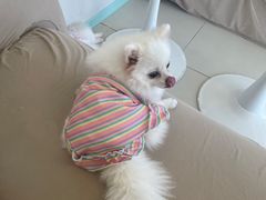 -怪兽屋·羊驼·猫咖·狗咖(俊华广场店)